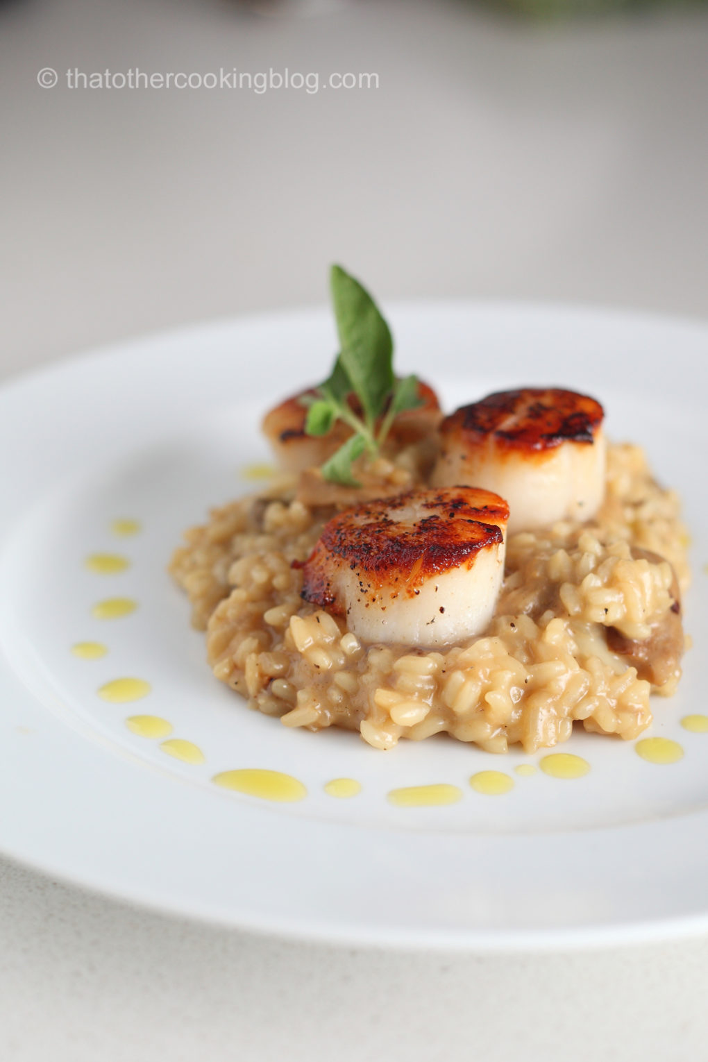 Porcini Risotto and Scallops Oregano thatOtherCookingBlog